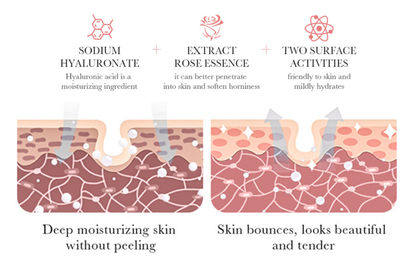 Ácido Hialurónico con Extracto de Rosa - Kit 6 Piezas Hidratación Profunda